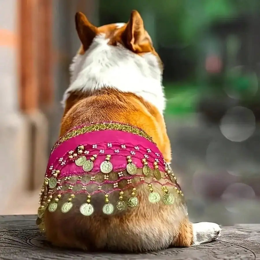 Fun Belly Dance Pet Shiny Bib Auspicious Luck Adjustable Holiday Qme red