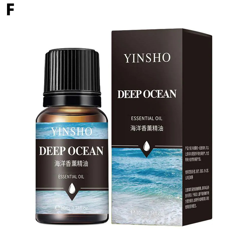 Car Air Freshener Electric Diffuser Aroma Vent Essential Oil Mist