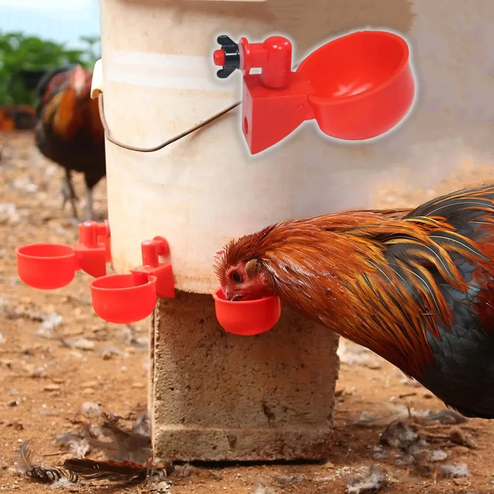 6pcs Poultry Water Dispenser Chicken Goose Universal Automatic Drinker Plastic Water Feeder Quail Drinker Farm Yard Accessories Qme