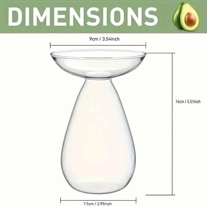 Colorful Transparent Avocado Hydroponic Vase Glass Avocado Seed Starter Vase Plant Seed Growing Kit Gardening Lovers Home Decor Qme