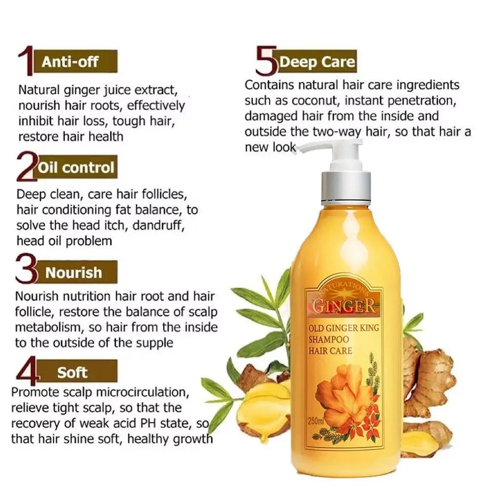 250ml Old Ginger Juice Hair Shampoo Professional Hair Scalp Treatment Oil Control Dense Anti Hair Loss Qme