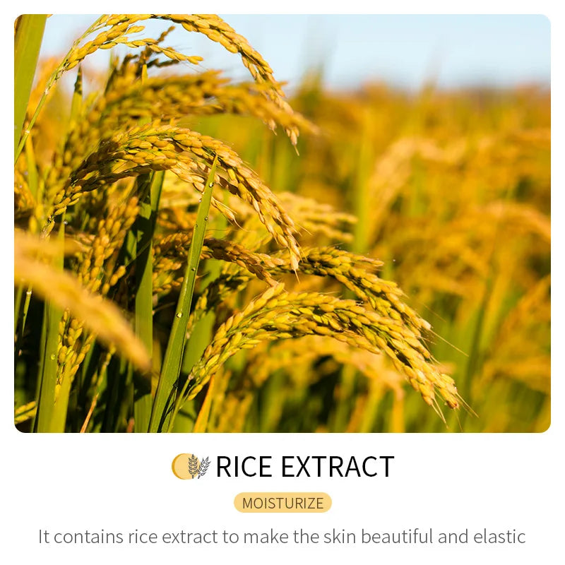 Rice Raw Pulp Facial Masks for Pore Refining Glass Skin Moisturizing Firming Hydrating Face Mask Sheets Mask Korean Skin Care Qme