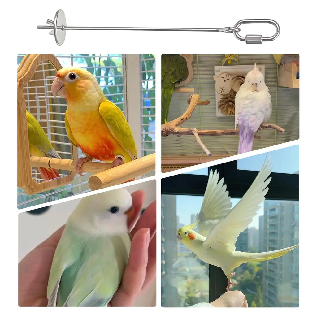1pcs Bird Cage Food Skewer Stainless Fruit Stick Holder Bird Food Holder For Cage Foraging Macaw Parakeet Cockatiel Conure Finch Qme