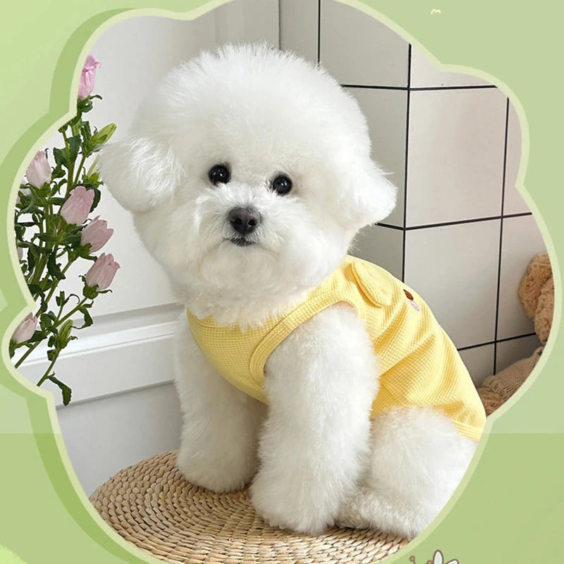Traction Buckle Suitable Spring Summer Dog Cat Vest Cute Pet Qme