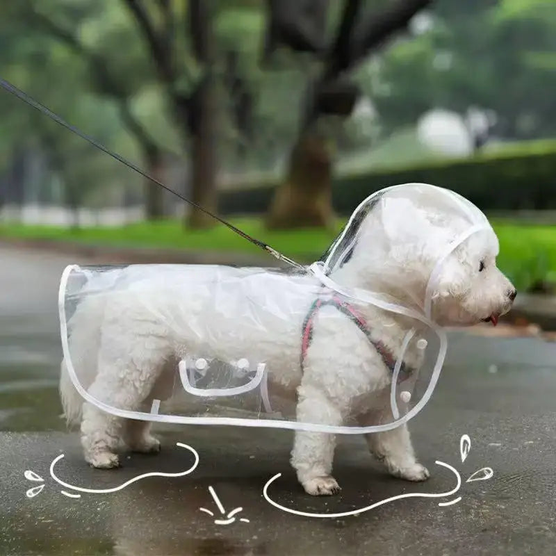 Windproof Pet Clothing Large Dog Costume Raincoat Transparent Qme
