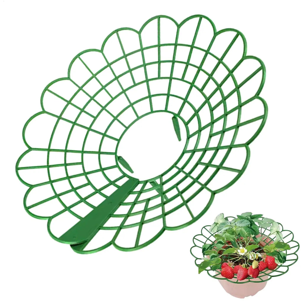 Strawberry Plant Protector Tomato Trellis Stand Boost Ventilation Strawberry Growing Rack for Balcony Outdoor Yard Patio Orchard Qme