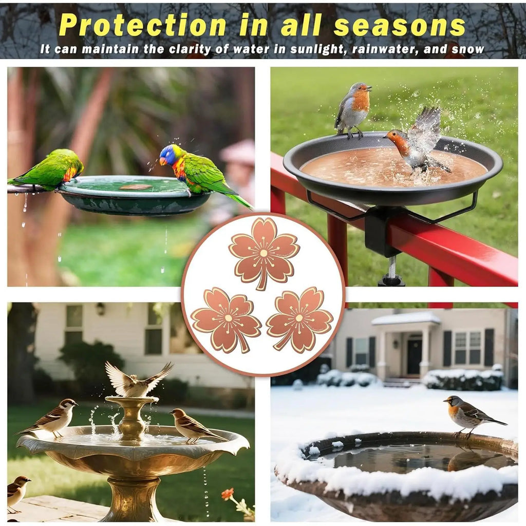 Bird Bath Copper Disk Water Cleaning Maintenance Plate Purification Qme