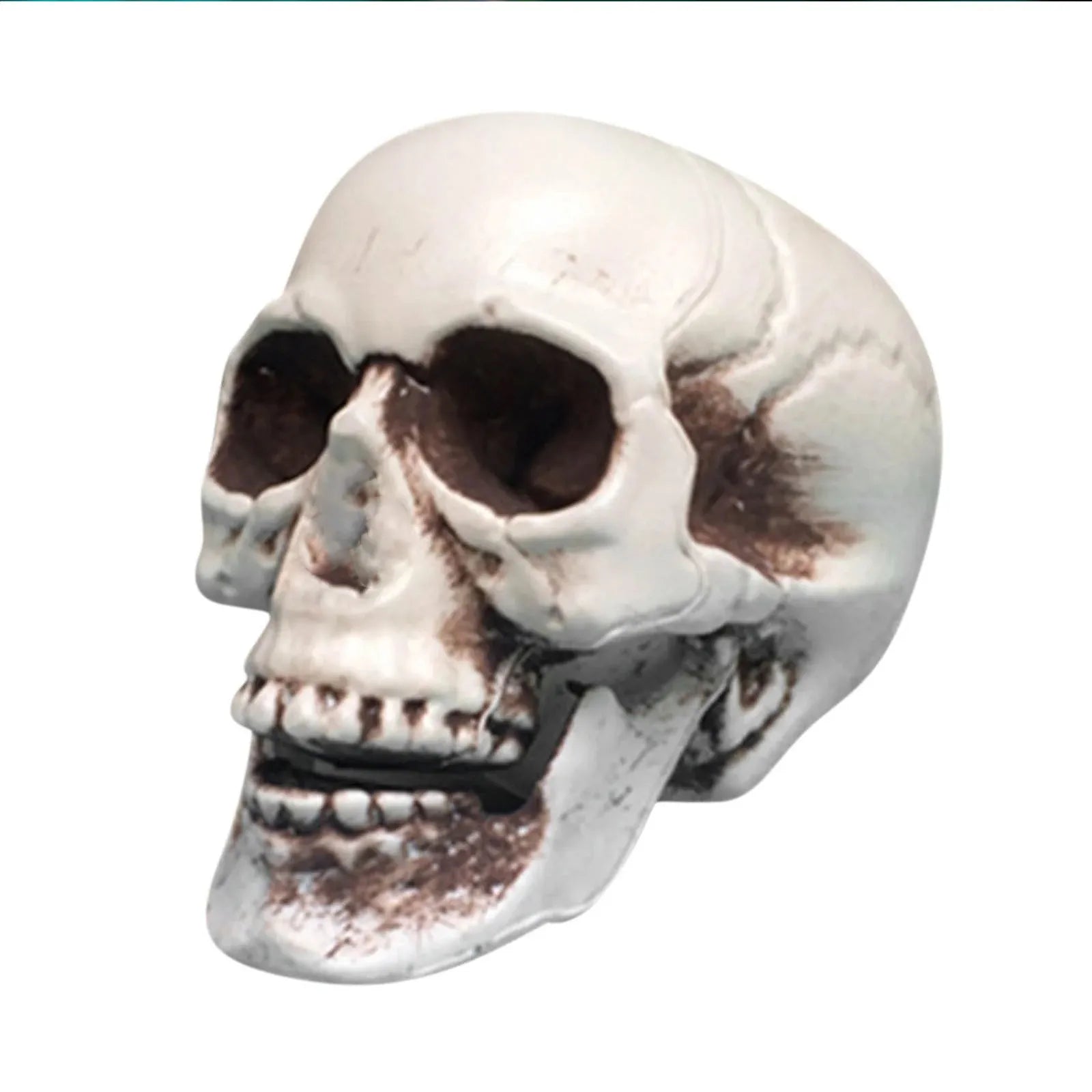 Halloween Realistic Plastic Skull Head Skeleton Model Halloween Party Home Yard Decoration Haunted House Horror Props Qme White C