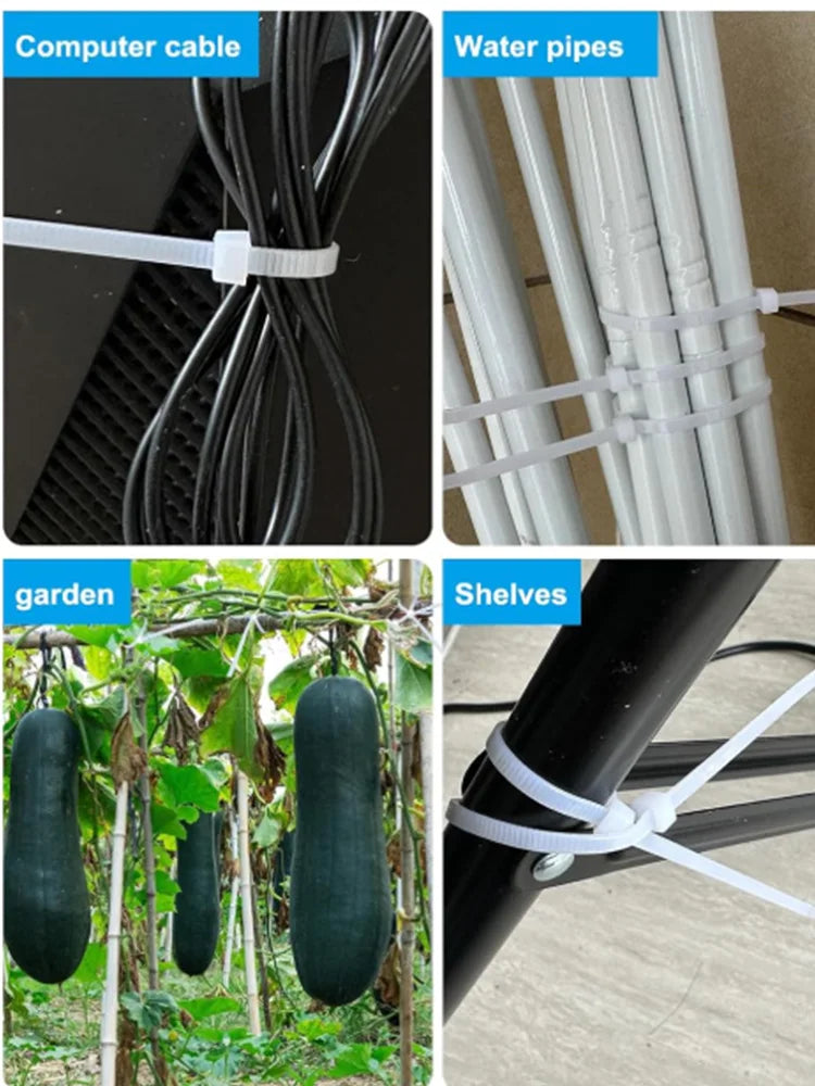 National Standard White PA66 Nylon Cable Ties 3x100 3x150 4x200 5x250mm Self Lock Wire Fastening Zip Tie Qme