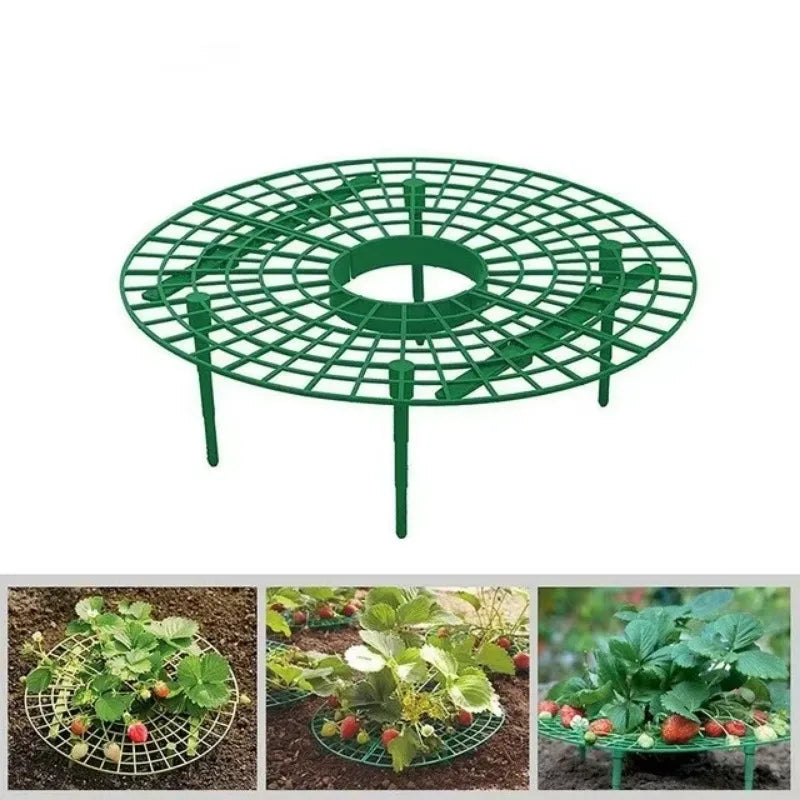 Strawberry Planting Tray Rack Green Plants Anti Lodging Plant Fruit Qme