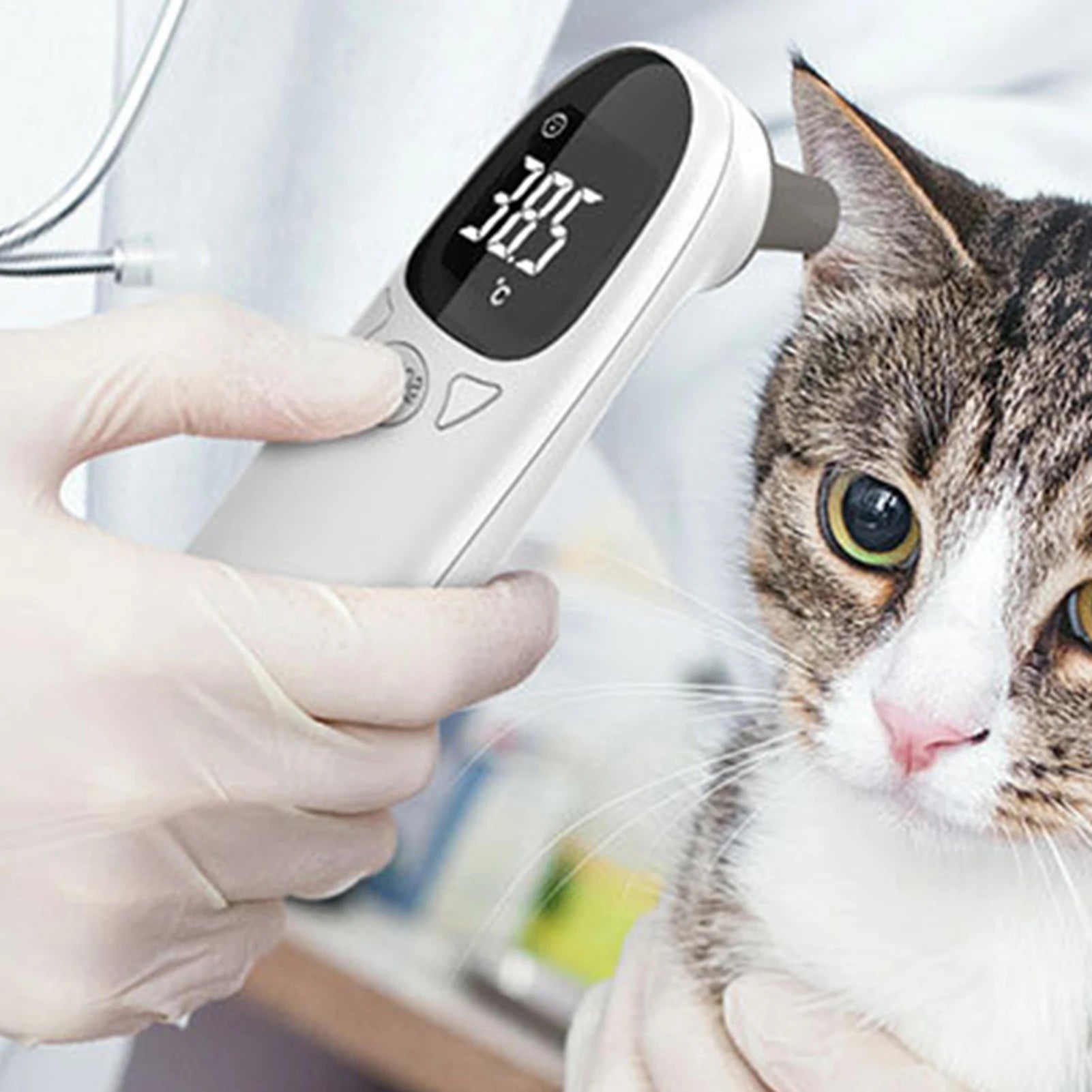 Cat Thermometers Ear cat Dog Tech Supplies Puppy Thermometers Fever Detection Device For Pet High-Precision Accurate Led Display Qme