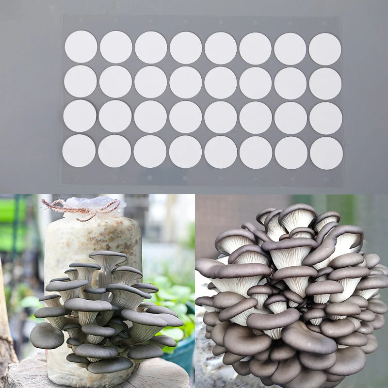 Hydrophobic Breathable Membrane Mushroom Cultivation Wide Mout32Pcs Qme