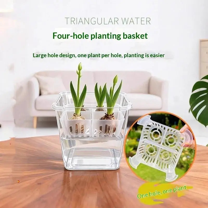 Hydroponic Containers With Breathable Support Basket Tulip Seed Hydroponic Flowerpot 4 Holes Soilless Flower Pot Home Decoration Qme