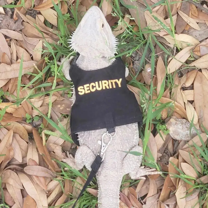 Reptile Lizard Gecko Bearded Dragon Harness and Leash Comfortable Bearded Dragon Clothes for Outdoor Pet Chameleon Supplies Qme