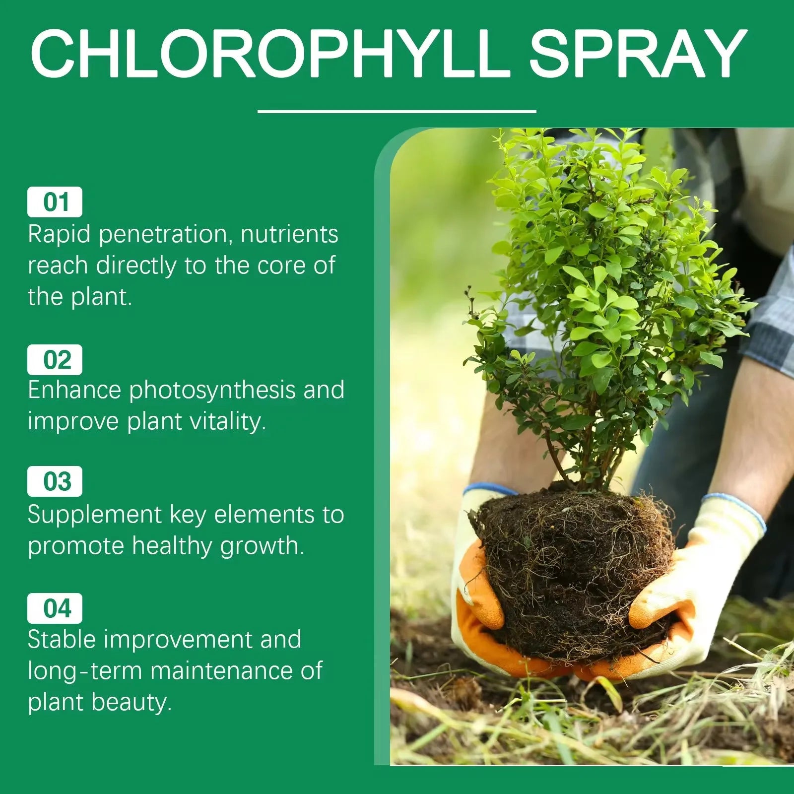 MOONSPRY Succulent Root Booster Liquid Plant Nutrient Solution Grow Enhancer Supplement for Flower & Fruit Fertilizer Qme