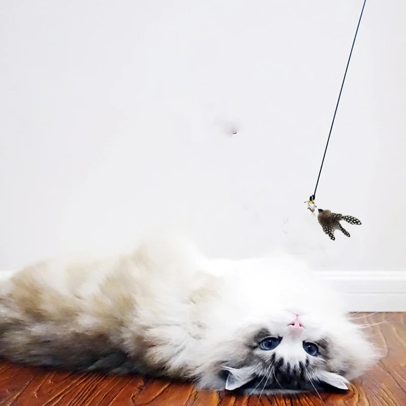Cat Teaser Stick With Bell, Feather, Long Rod Suction Cup Qme