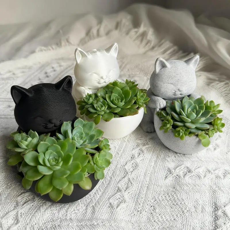Drainage Holes Uniquely Designed Succulents Small Flowers Cacti Qme
