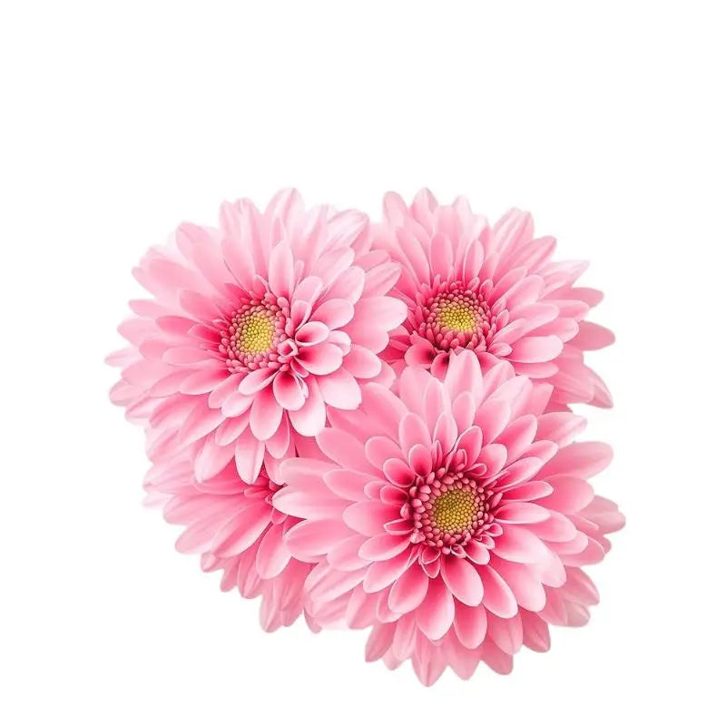 Bathroom Luminous Toilet Sticker Night Light Pink Chrysanthemum Toilet Seat Cover Sticker Self-Adhesive Beautify Home Decor Qme