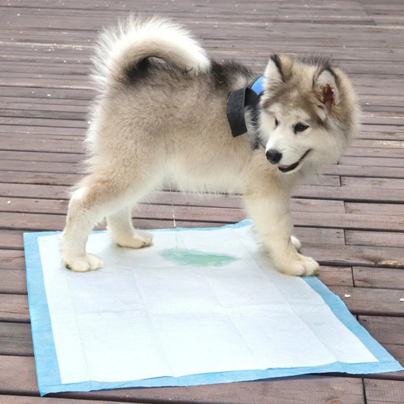 Super Absorbent Pet Diaper Dog Training Pee Pads Disposable Thickened Nappy Pads For Cats Dog Diapers Cage Mat Pet Supplies Qme