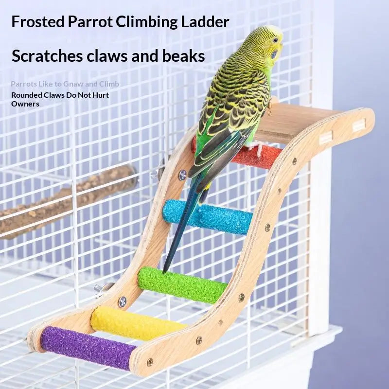 Teeth Grinding Pole Stand Toy Interactive Bird Accessories 6 8Step Qme