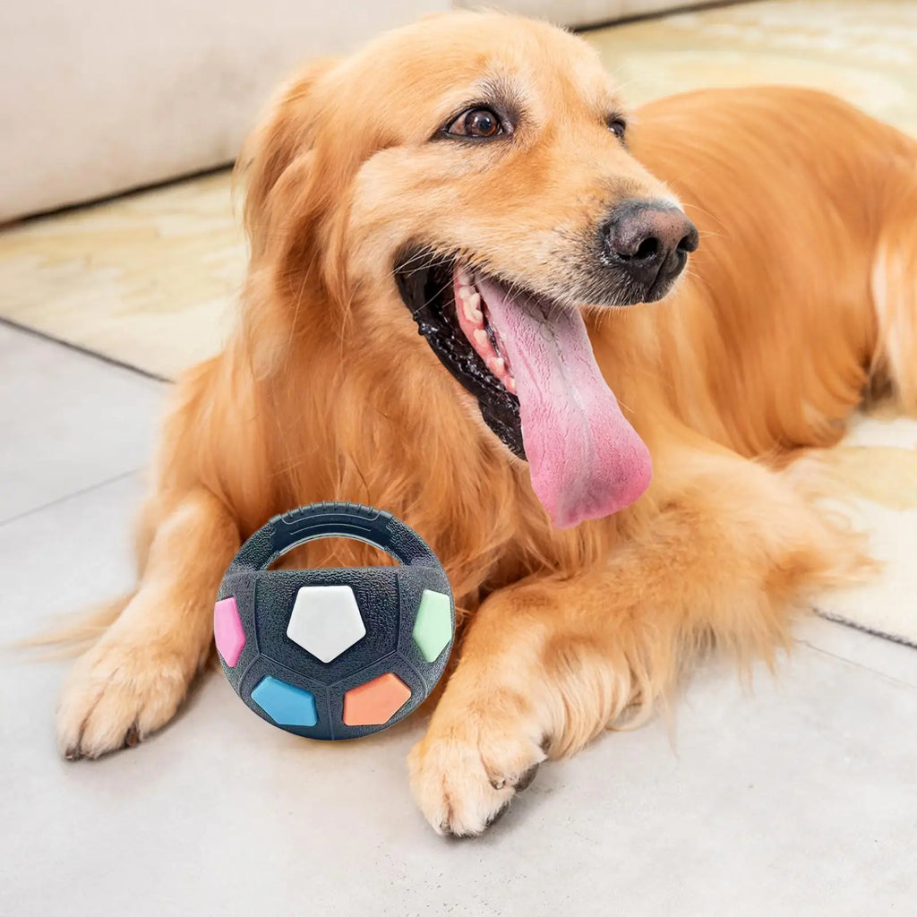 Dog Fetch Football Interactive Squeaky Handheld Round Football Dog Chewing Ball Pet Training Supplies For Aggressive Chewers Qme