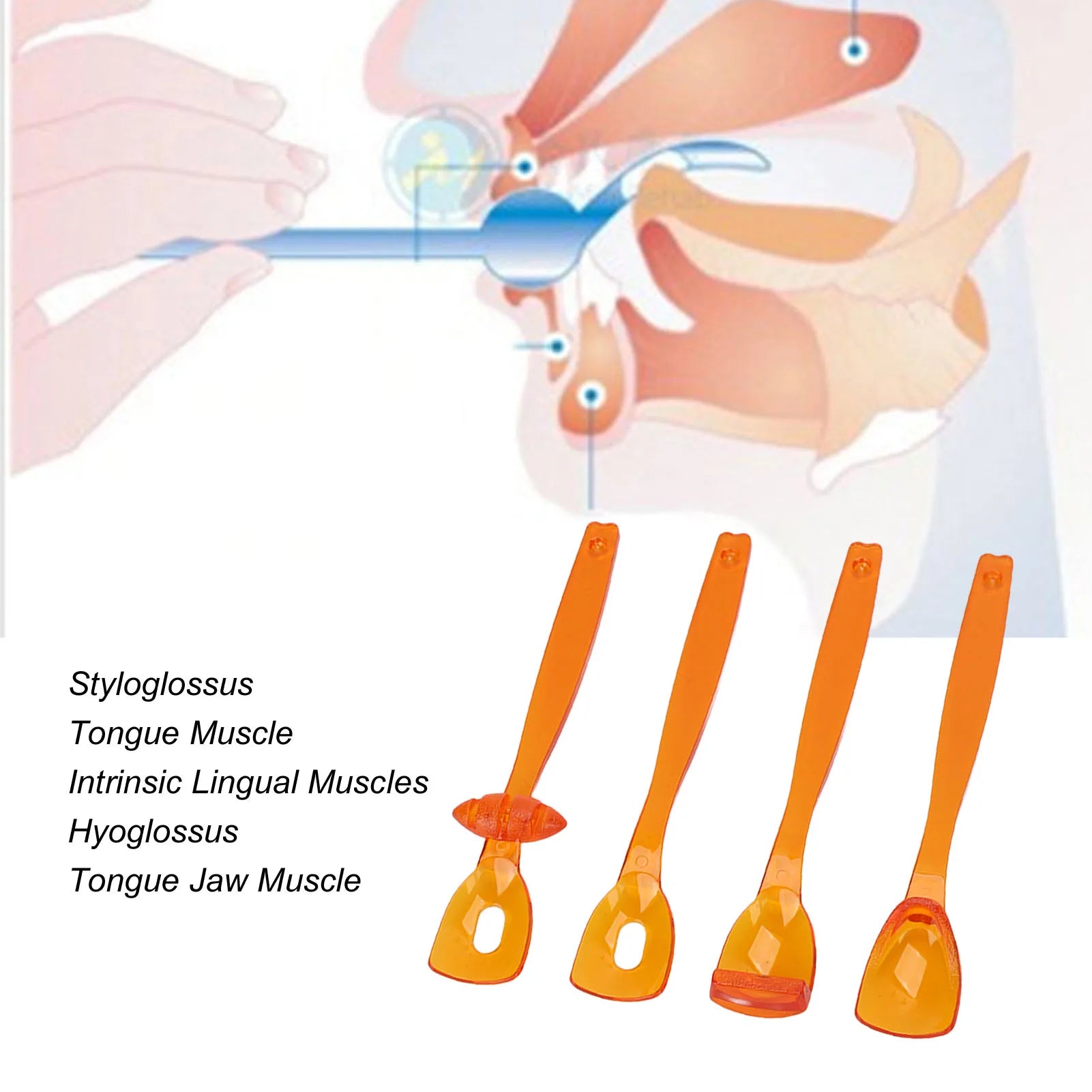 4pcs Tongue Muscle Trainer Portable Oral Lips Muscle Exerciser Recovery Tool for Dysarthria (Orange) Oral Muscle Training Tool Qme