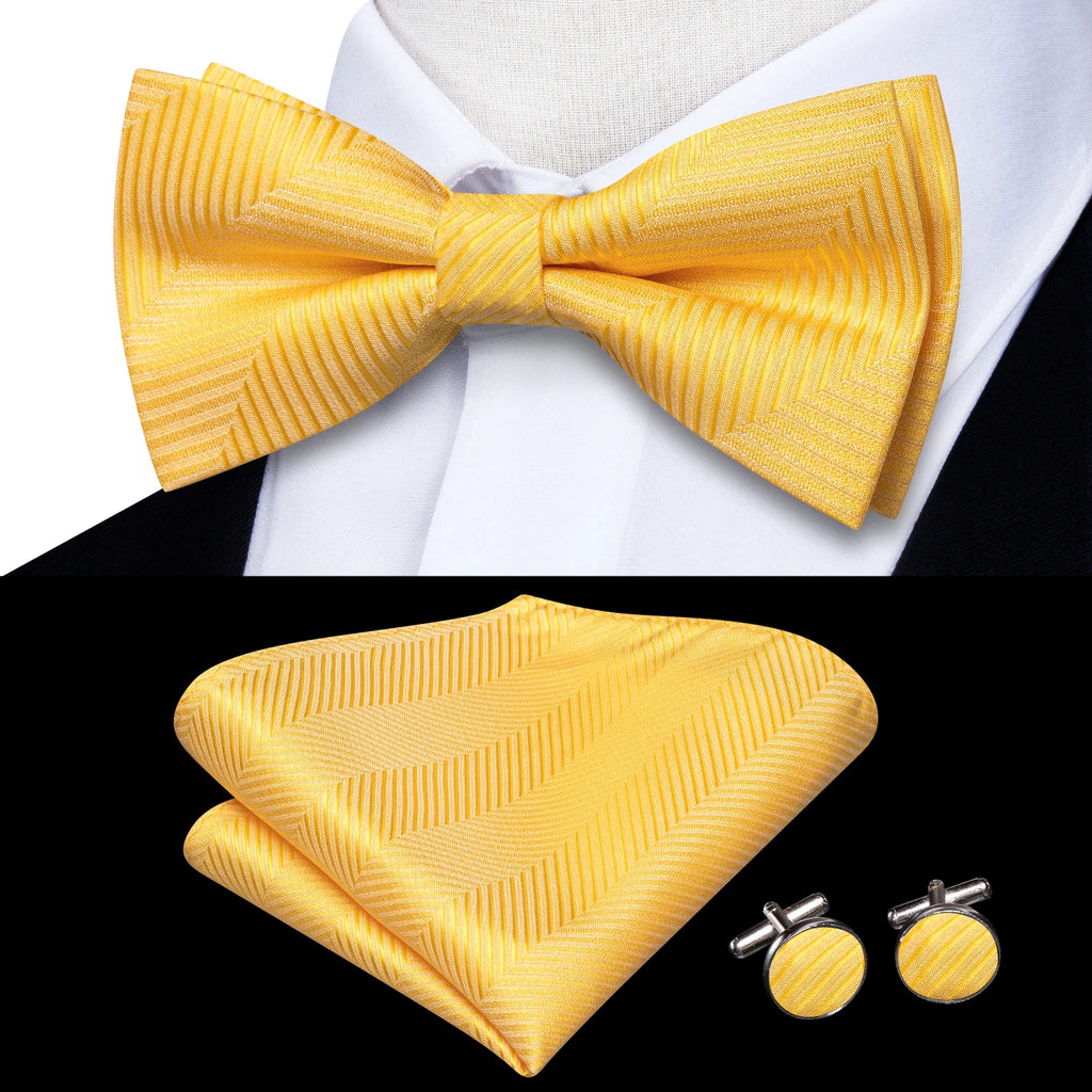 Hi-Tie Classic Bow Ties for Men Silk Butterfly Pre-Tied Male Bowtie Pocket Square Cufflinks Set Jacquard Paisley Floral Wedding Qme