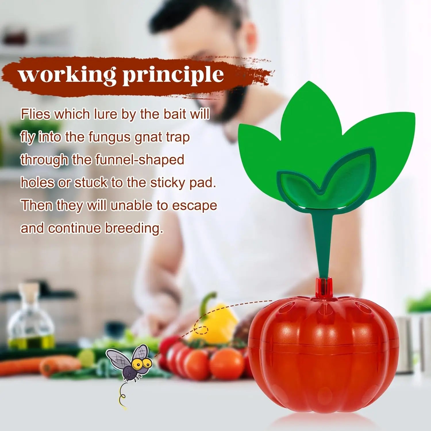 Fruit Fly Trap 2 Packs Safe & Reusable Fruit Fly Traps for Kitchen Dining Room Family Party Outdoor Picnic Farm Garden Qme