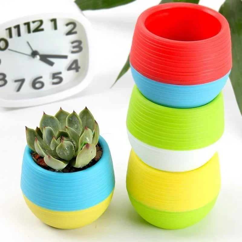 1 Creative Eco-friendly Colourful Mini Round Plastic Plant Flower Pot Qme