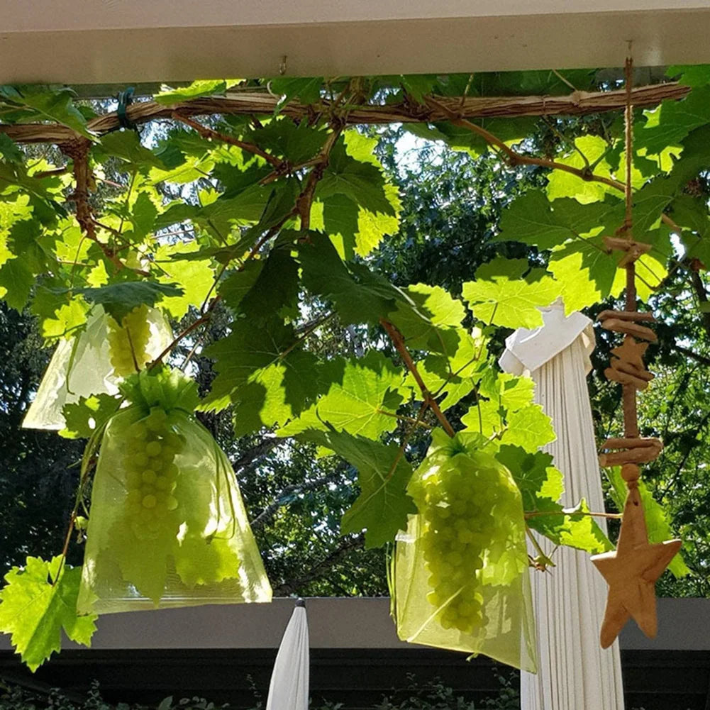 50Pcs Plant Fruit Grape Protection Netting Bags With Drawstring For Trees Garden Cover Mesh Bags To Protect Plants From Birds Qme