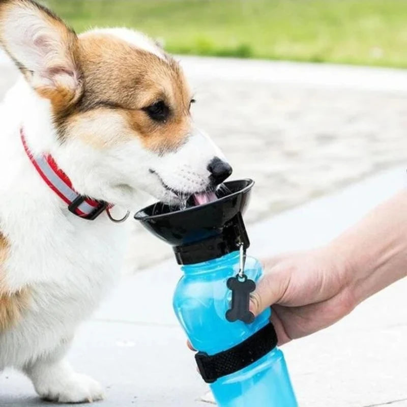 500ml Portable Pet Water Bottle For Dogs Cats Travel Drinking Cup Leakproof Outdoor Water Feeder Bowl Pet Supplies Qme