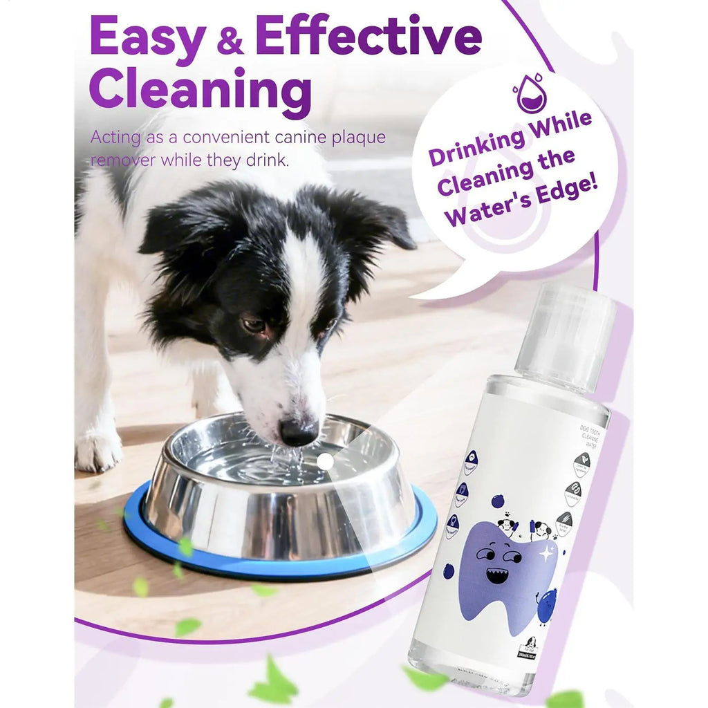 Dog Breath Water Additive 200ml Natural Healthy Bad Breath Remover Solution for Indoor Outdoor Travel Brushing Grooming Health Qme