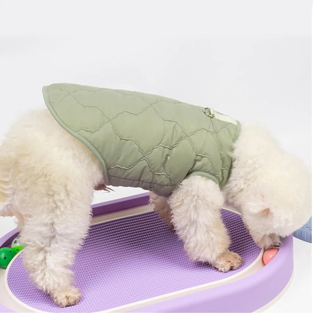 Dog Winter Jacket Thermal Warm Clothes for Dog Cold Weather Dog Clothes for Small Medium Large Nreeds Cats Puppies Kittens Qme