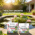 Water Lily Nutrient Flower Fertilizer Promote Root Growth Increase Flowers Number Improve Petal Luster Flower Nutrient Solution Qme Default Title
