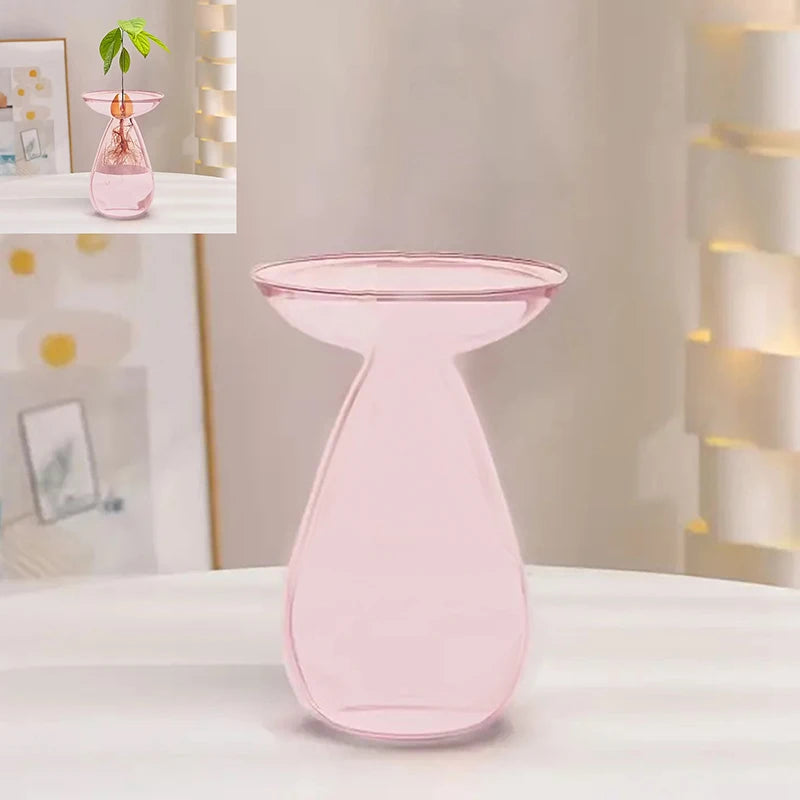 Colorful Transparent Avocado Hydroponic Vase Glass Avocado Seed Starter Vase Plant Seed Growing Kit Gardening Lovers Home Decor Qme A3