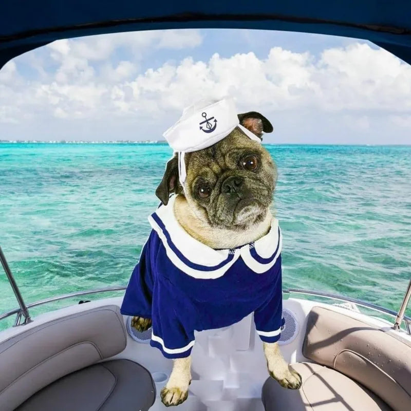 Pet Halloween sailor suit, sailor hat with tie set, cute Halloween party costumes Qme
