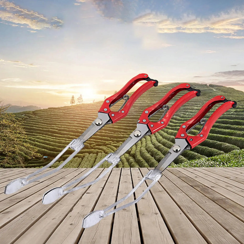 Seedling Planter Tool Comfortable Manual Handled Transplanting Corn Qme