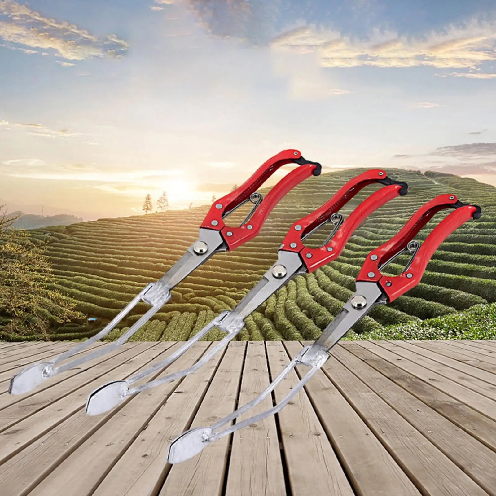 Seedling Planter Tool Comfortable Manual Handled Transplanting Corn Qme