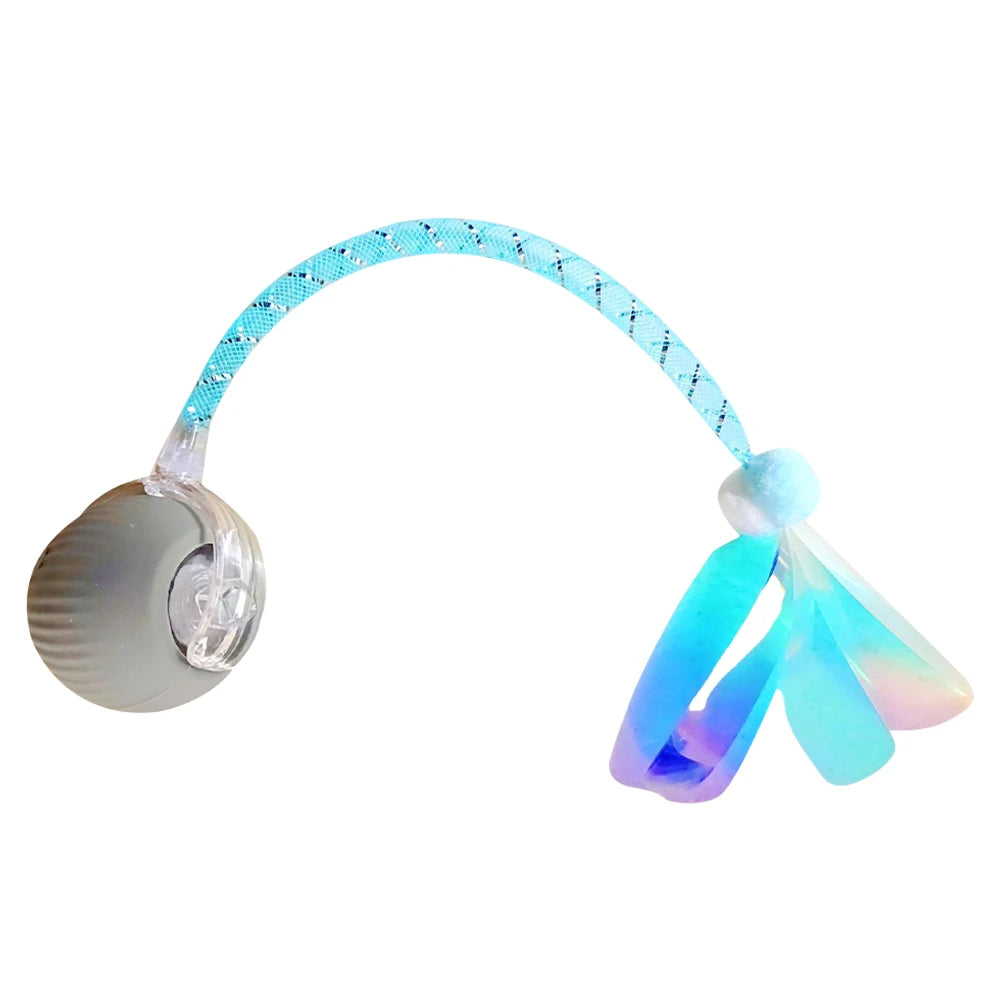 Interactive Cat Plaything Ball Motion Activated Electric Cat Rechargeable for Bored Indoor Adult Cat Pet Supplies Qme C