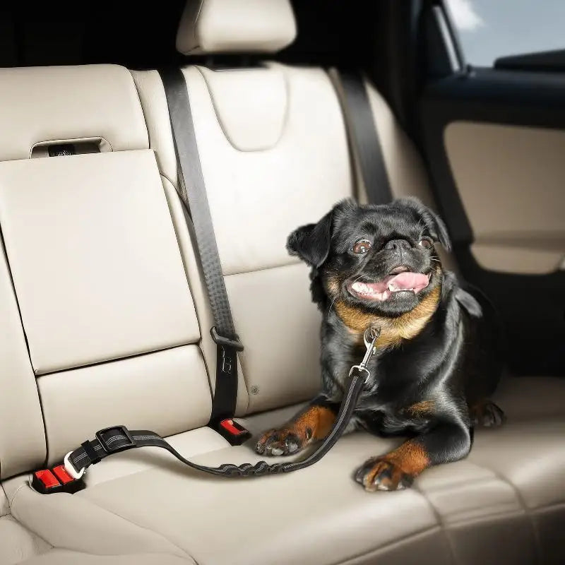 Bungee Fabric Belt Safe Secure Car Travel Reflective Dog Seat Qme