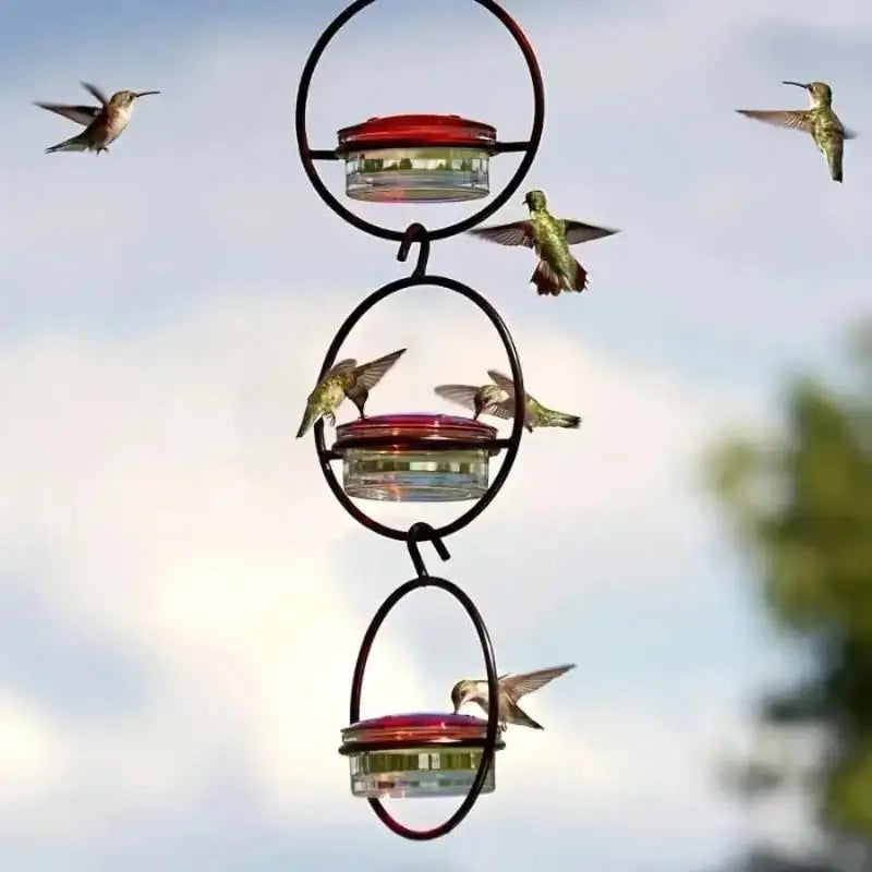 Transparent Design Perches No Electricity Battery Needed Metal Qme