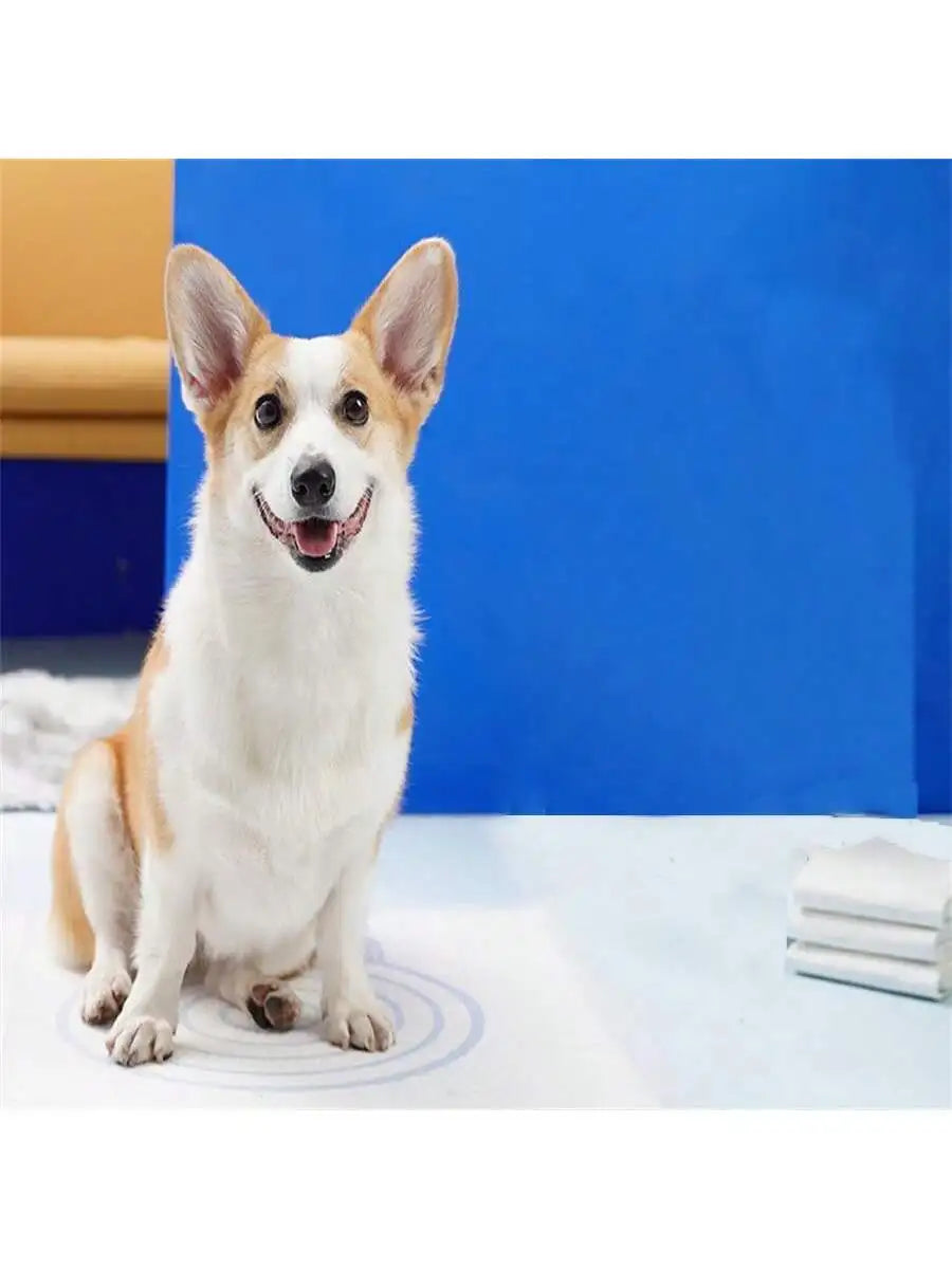 Highly Absorbent Pet Diaper Pads Suitable Dogs Disposable Leak Proof Qme