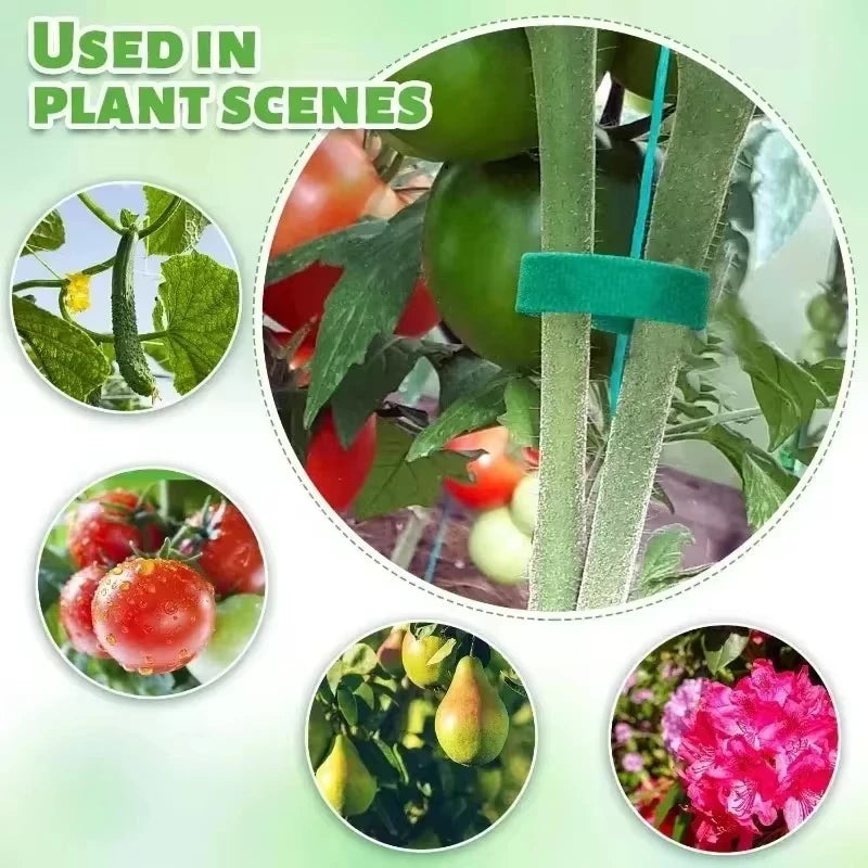 Self Adhesive Garden Tape Support For Plants Growing Climbing Reusable Plant Support Nylon Cable Tie Fastener Garden Accsesories Qme