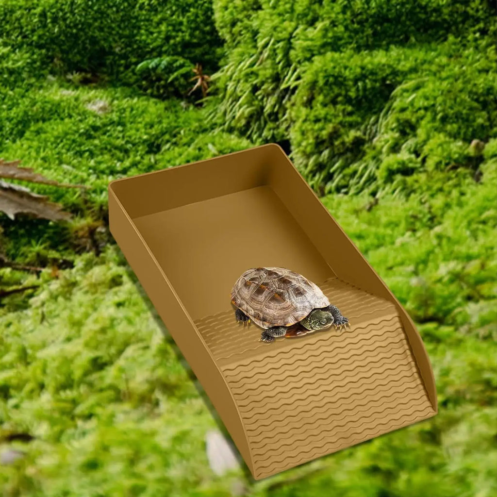 Tortoise Water Bowl Reptile Bathing Dish with Ramp Aquarium Ornament Water Bowl for Turtle Bearded Dragon Lizard Gecko Snake Qme