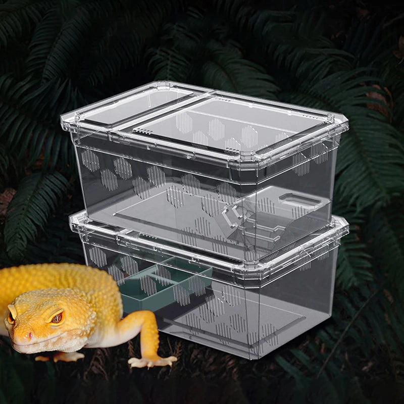 Reptile Tank Insect Spiders Tortoise Lizard Plastic Transparent Qme