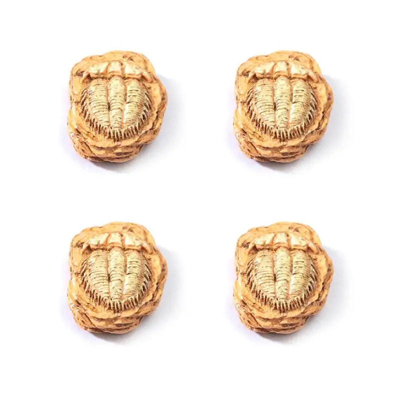 4Pcs Simulation Dinosaur Fossil Ornaments Mini Micro Landscape Decor DIY Desktop Craft Accessories Qme StyleD
