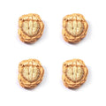 4Pcs Simulation Dinosaur Fossil Ornaments Mini Micro Landscape Decor DIY Desktop Craft Accessories Qme StyleD