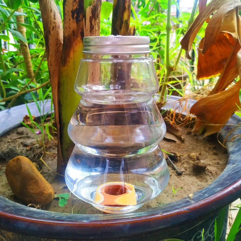 Automatic Flower Watering Machine Household Dripping Facilities Succulent Shower Lazy Plant Watering Magic Qme
