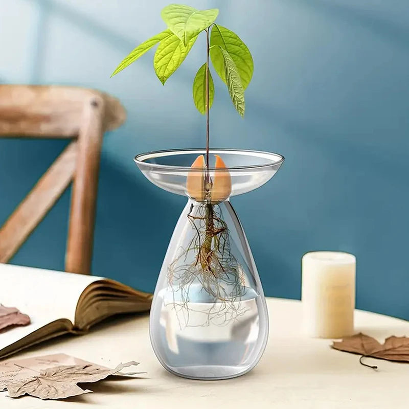 Colorful Transparent Avocado Hydroponic Vase Glass Avocado Seed Starter Vase Plant Seed Growing Kit Gardening Lovers Home Decor Qme