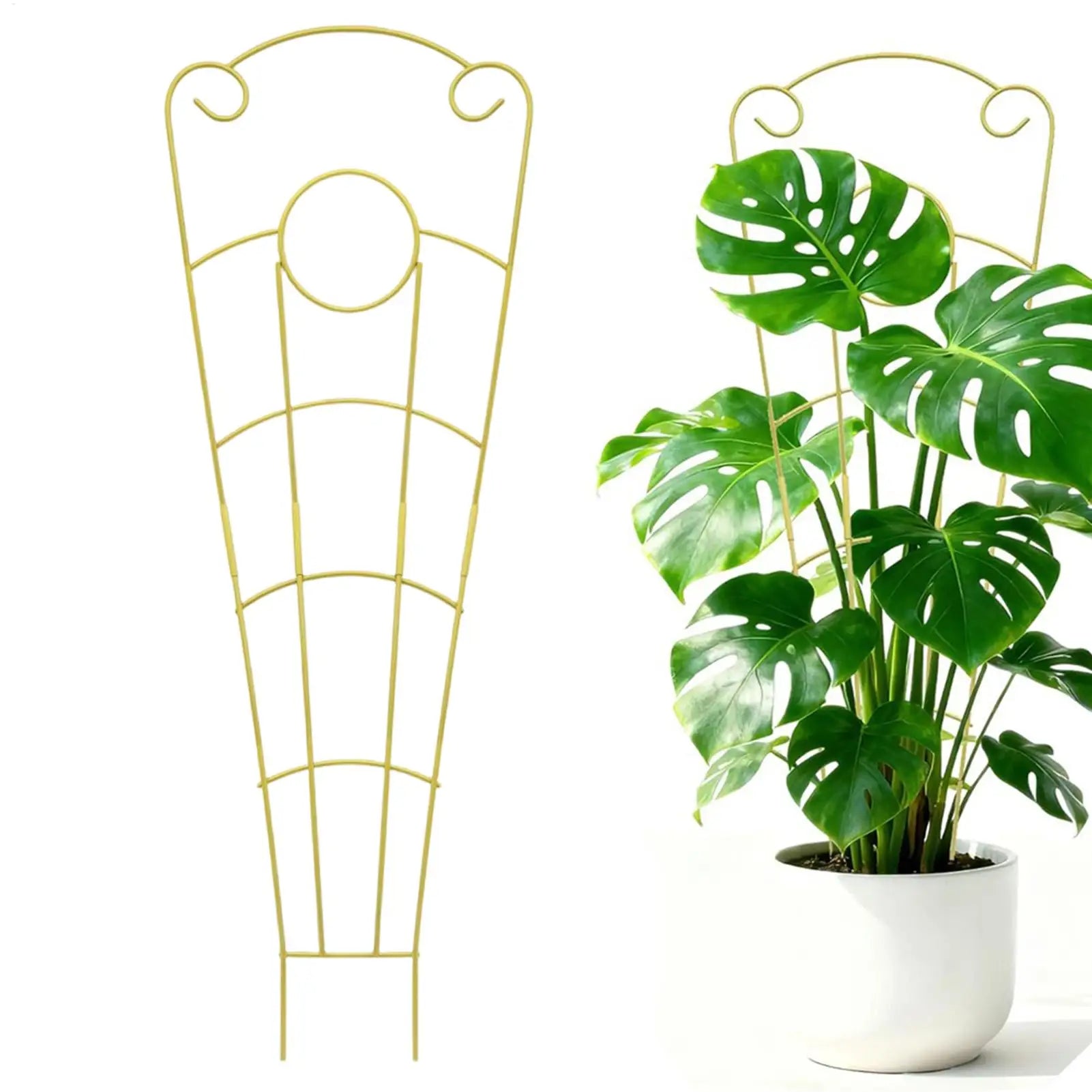 Climbing Plant Trellis 73cm Metal Rustproof Garden Support Indoor Trellis for Potted Plants for Monstera Flower Vine Planter Qme
